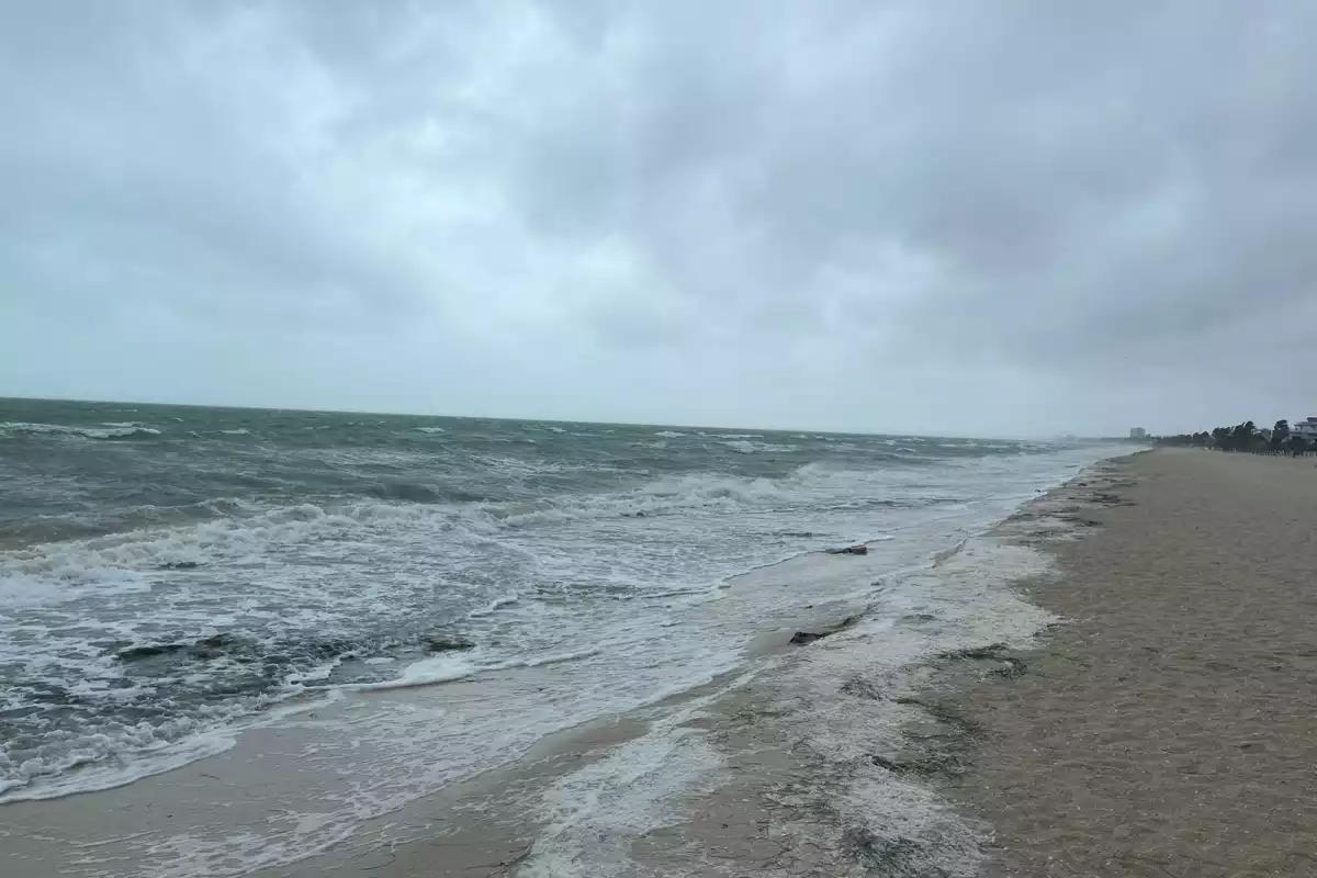 Se forma la Tormenta Tropical Meliss; Conagua descarta amenaza en Yucatán