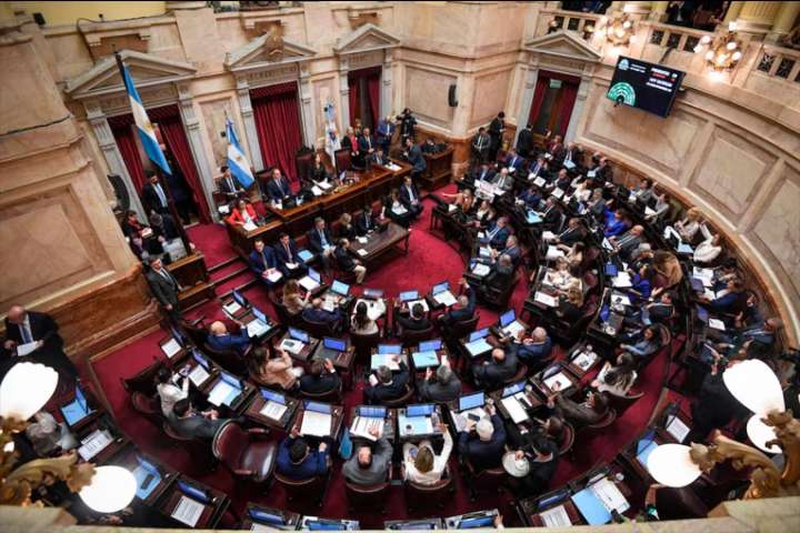 El Senado debate de los vetos de Milei al financiamiento del Garrahan y universidades