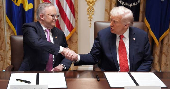 Trump Albanese meeting: Why the Australia-US rare earths deal matters so much for Trump