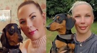 Hallaron mujer muerta devorada por sus perros salchicha