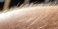 Por qué se pone la “piel de gallina” al escuchar música emotiva o sentir miedo, según expertos