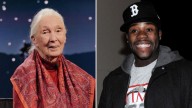 Celebrity Deaths of 2025: Jane Goodall and More Stars We’ve Lost This Year