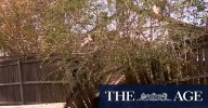 New bureau website suffers backlash