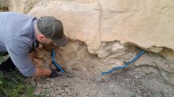 La Fundación Dinópolis presenta nuevas huellas de dinosaurios de Allepuz, Cedrillas y Jorcas