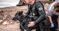 ‘She was my heart dog’: Mourning cadaver dog involved in memorable searches  :: WRAL.com