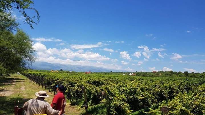 Este jueves y viernes se llevarán a cabo las V Jornadas Nacionales de Turismo del Vino en el Complejo Ferial Córdoba