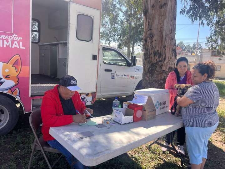 Firmes acciones a favor del bienestar animal por parte del Gobierno Municipal de SLP