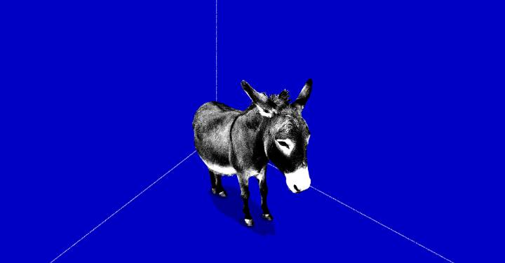How Democrats Backed Themselves Into a Shutdown