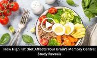 How a High-Fat Diet Affects Your Brain's Memory Centre: Study Sheds Light
