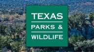 Admission to Texas State Parks is free on Nov. 2