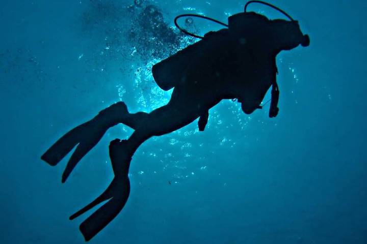 La Paz será sede de la cuarta Jornada de Buceo Inclusivo en octubre; habrá buzos profesionales