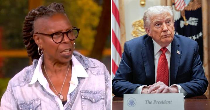 'The View' Stars Rip Apart Donald Trump for 'Gaudy and Tacky' White House Renovation: 'You Don't Own That Building!'