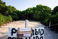 Profepa frena ecocidio en Chicxulub Puerto, Yucatán; clausura predios por relleno de manglares