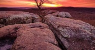 Friends of the Shawnee National Forest to mark 15th anniversary