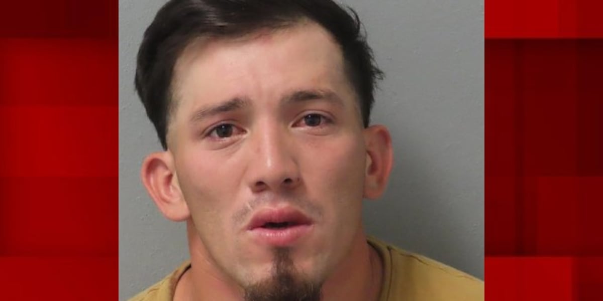 Plea hearing set for man charged in St. Louis Officer David Lee’s death