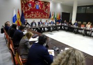 PSOE y NC hacen pinza y votarán en contra del dictamen de las mascarillas