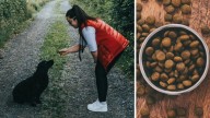 Save 75% on an expert-led dog training masterclass, now under $30