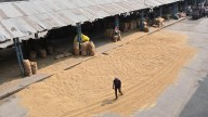 Trouble in ‘soy State’: Madhya Pradesh soybean farmers lose interest over multiple factors
