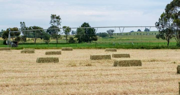 Discover Karingle: Tamworth's prime farming property