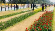 Delhi: This winter, 50k Grown