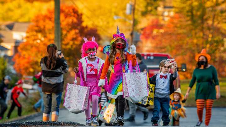 20+ Halloween events to celebrate spooky season in Bloomington
