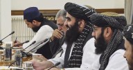 Kabul to send diplomats to India: Muttaqi