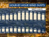 Sunday's gusty wind, scattered showers add to cool fall feel