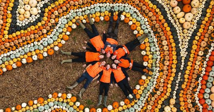 Spooky Halloween events in and around Plymouth to get you in the spirit