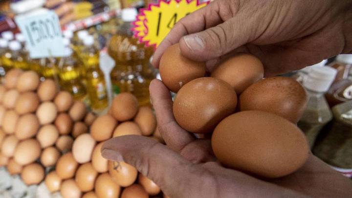 Colombia rompe récord histórico: cada persona consume un huevo diario en promedio, según Fenavi