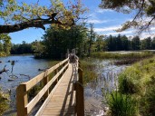 Trees glow, water sparkles in autumn sun along winding trail with panoramic views