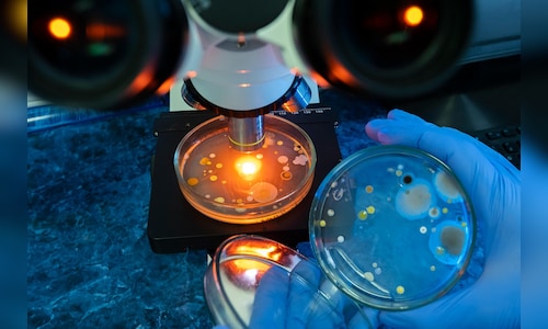 One in six bacterial infections in 2023 resisted antibiotics, WHO says India among worst hit