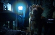 Terror y suspenso en ‘Good Boy’, protagonizado por un lomito