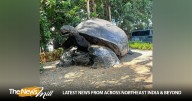 Roaming free in paradise: Seychelles’ giant tortoises and their special bond with India