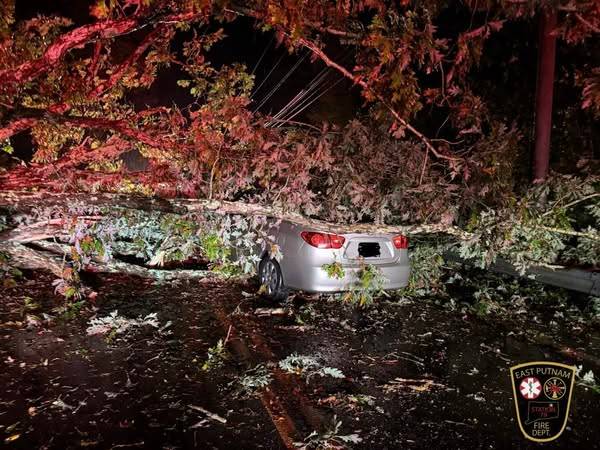PHOTO: Tree falls on car in East Putnam