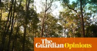 As the Coalition shows its colours on nature, Labor faces a question: will it really protect Australia’s wildlife?