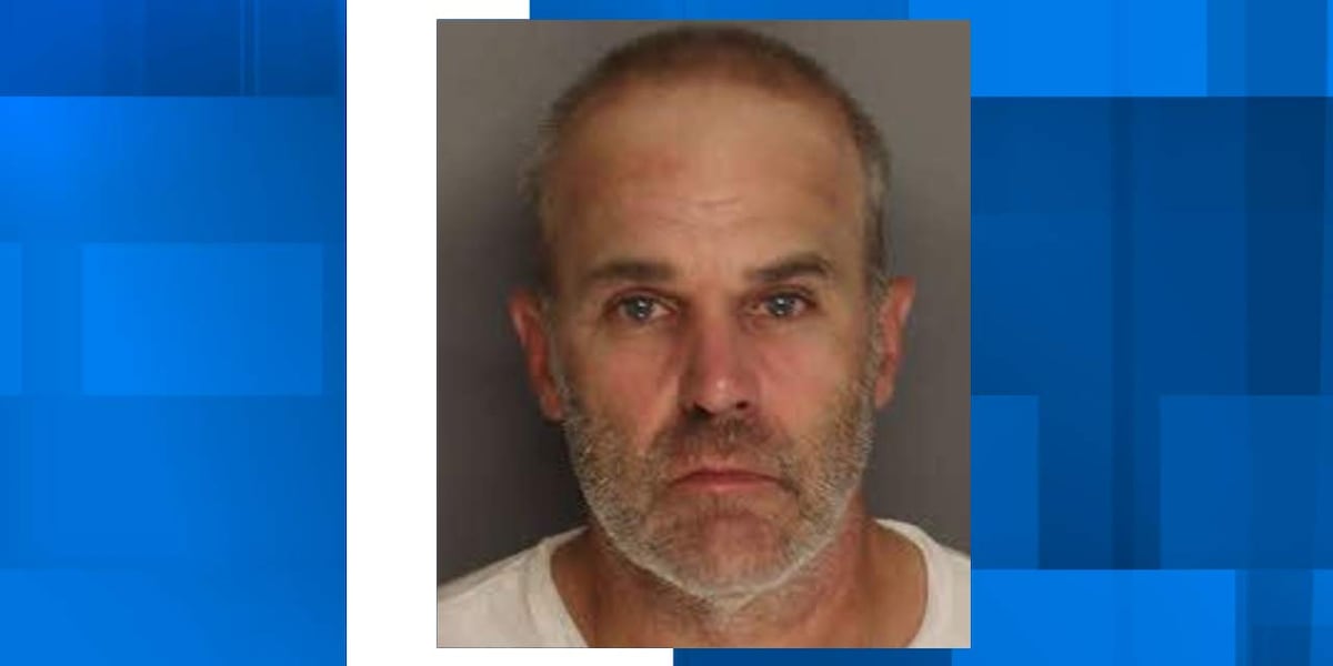 Berkeley County traffic stop leads to discovery of meth, charges
