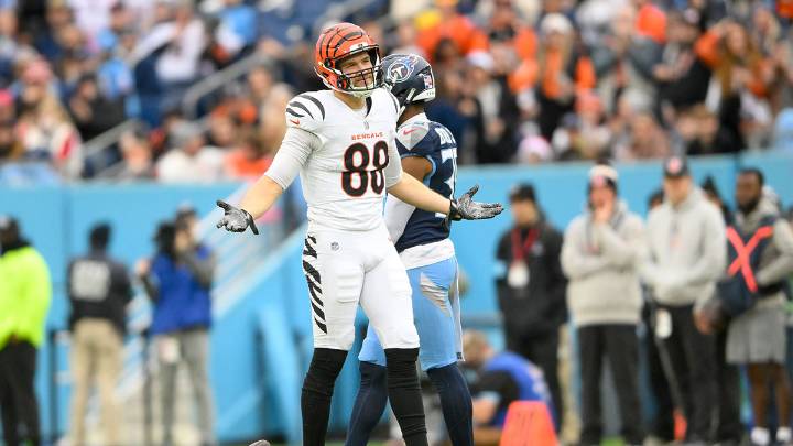 Fantasy football impact of Bengals Mike Gesicki going on IR
