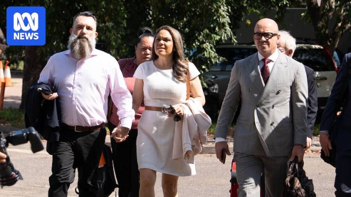 Central Land Council CEO took 'hit' to reputation after no-confidence motion allegations, court hears