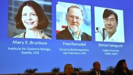 El Nobel de Medicina busca a uno de sus ganadores: "Está de mochilero viviendo su mejor vida"