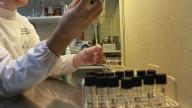 La UNNE recupera una carrera histórica: el Consejo Superior aprobó la creación de Farmacia