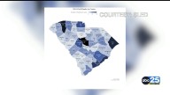SLED releases child fatalities annual report