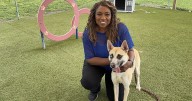 No tricks, just treats! Adopt a new furry friend this Halloween season