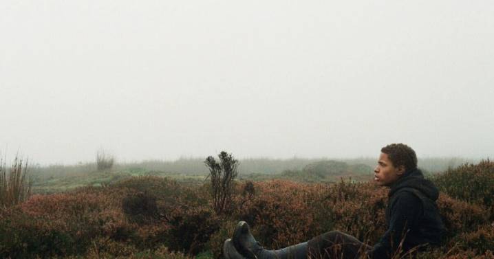 The top three alternative Halloween films to watch on Friday