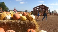 Modesto's Dutch Hollow Farms expects big turnout for fall activities