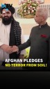 Afghan Foreign Minister Calls For Stronger India Ties, Vows No Terror Activity From Afghan Soil