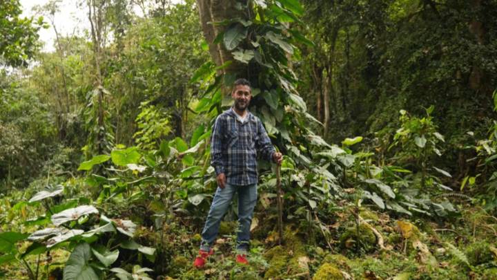 Lanzamiento oficial de “Siembra Comunal“, una estrategia de $179 millones para fortalecer la resiliencia comunitaria ante la crisis climática