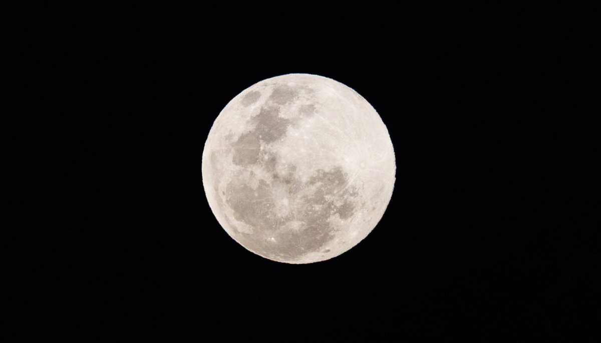 Más grande y brillante: Revisa las imágenes de la Superluna de octubre que se roba las miradas