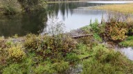 Illegal dam threatens to overflow, prompting evacuations in B.C. Interior