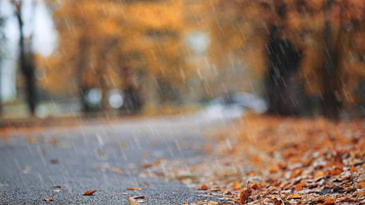 Old Farmer's Almanac releases Thanksgiving 2025 weather forecast
