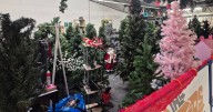 The 'charity department store' at the tip selling Halloween and Christmas items for pennies